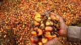 Palm oil prices in focus – experts decode factors behind rise and demand outlook