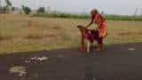 70-year-old Odisha woman walks barefoot with support of broken chair to get pension | Viral Video 