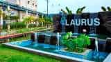 Laurus Labs Q4 Results: Net Profit Drops 56% To Rs 103 Crore, Declares Dividend