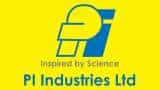 Strong Rally In PI Industries: What Are The Triggers &amp; Key Notes? Watch This Video