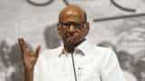 Sharad Pawar Quits As NCP President, Party Workers Protest Against Decision