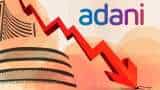 Why Adani Shares Are Falling? What Are The Triggers Behind? Watch Here