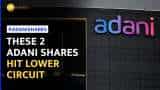 Why are Adani Total, Adani Transmission shares falling today?--Check Here