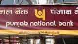 PNB Q4 results preview: PSU bank's profit likely to soar 9x on double-digit loan growth