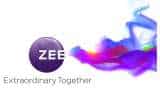 IDBI Bank&#039;s Insolvency Plea Against Zee Entertainment Dismissed