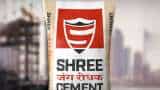 Shree Cement Results: What Are The Expectations And Triggers In Q4? Watch Here