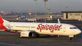 SpiceJet shares rise over 7% after falling for six straight sessions; here's why