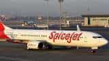 SpiceJet shares rise over 7% after falling for six straight sessions; here&#039;s why