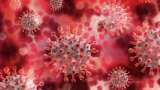 Covid Cases in India Today: Active coronavirus cases in country dip to 4,709