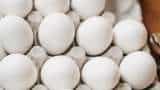 Sri Lanka to import 1 million eggs daily from India to meet market demand
