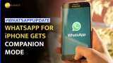  WhatsApp Companion Mode: You can link up to four iPhones--All you need to know  