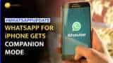 WhatsApp Companion Mode: You can link up to four iPhones--All you need to know WhatsApp Companion Mode: You can link up to four iPhones--All you need to know