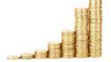 FPIs investment hit 9-month high at Rs 43,838 crore in May on strong domestic macro-outlook, reasonable valuation FPIs investment hit 9-month high at Rs 43,838 crore in May on strong domestic macro-outlook, reasonable valuation