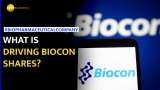 Biocon shares rose after USFDA issues &#039;no observations&#039; on Bengaluru facility 