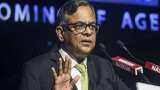 Tata Consumer domestic business to see high growth, open to acquisitions in food and beverages: Chandrasekaran 