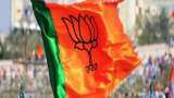 Party leadership to decide 2024 polls candidates: BJP West UP chief