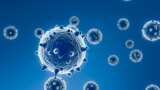 COVID-19 Cases: Active coronavirus cases decrease to 2,067