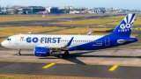 Go First hopes to resume daily flights by month-end: Report