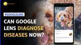 Google Lens can now detect skin conditions: What Is It and How To Use It