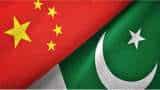 China helping Pakistan Army build defence infrastructure along LoC: Officials