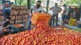 Tomato prices soar across country, cost Rs 80-100 per kg— here's why