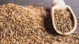 Commodity Live: What is happening in cumin? 