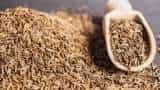 Commodity Live: What is happening in cumin? Commodity Live: What is happening in cumin?