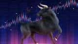 FINAL TRADE: Sensex, Nifty settle at fresh closing peaks; 173 stocks hit 52-week high on BSE