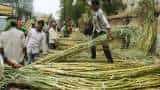 Commodity Live: Good news for 5 crore sugarcane farmers, government announced to increase FRP
