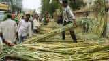 Commodity Live: Good news for 5 crore sugarcane farmers, government announced to increase FRP Commodity Live: Good news for 5 crore sugarcane farmers, government announced to increase FRP