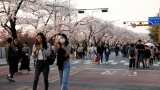 South Koreans become a year or two younger as traditional way of counting age scrapped