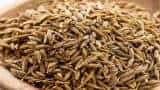 Commodity Live: What are the current fundamentals of Cumin?
