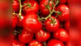 Tamil Nadu government launches tomato sales thru fair price shops to offset prices