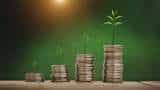 Money Guru: Why are investors stopping SIPs early? Money Guru: Why are investors stopping SIPs early?