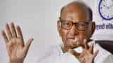 &#039;They have nothing else&#039;: Sharad Pawar on nephew Ajit claiming party symbol