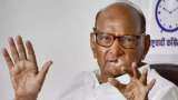 'They have nothing else': Sharad Pawar on nephew Ajit claiming party symbol