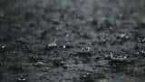 Punjab school holiday news: Schools to remain closed in Ludhiana today amid heavy rainfall