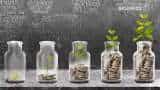 Money Guru: Ban on lumpsum investment in smallcaps, what should existing investors do?