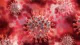 Coronavirus cases: India logs 43 COVID-19 infections in a day