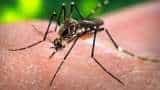 Preventing Post-Flood Diseases: Dengue and Malaria Precautions