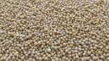 Guar seed futures decline amid ample supplies 