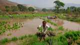 Why Indian farmers worry despite &#039;average&#039; monsoon rains