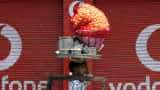 Looking at ways to regulate street food vendors to impose some quality standards: DPIIT secretary Looking at ways to regulate street food vendors to impose some quality standards: DPIIT secretary