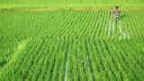 Sowing of Kharif crops so far in 2023 has been somewhat higher in India, according to the Agriculture Ministry