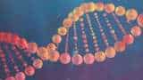 DNA Technology Bill: Here’s why the Centre is withdrawing a bill passed four years ago in Lok Sabha DNA Technology Bill: Here’s why the Centre is withdrawing a bill passed four years ago in Lok Sabha