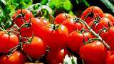 Four customs officials suspended after tomato bungling in UP
