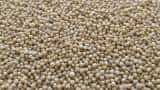 Guar seed futures rise on spot demand