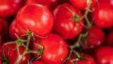 Commodity Live: How tomato farmer earned 2.8 crores?