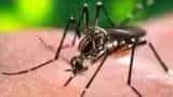 CM Kejriwal reviews measures to check dengue spread