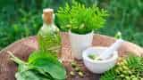 Aapki Khabar Aapka Fayda: Is it necessary to make regulation regarding herbal treatment?